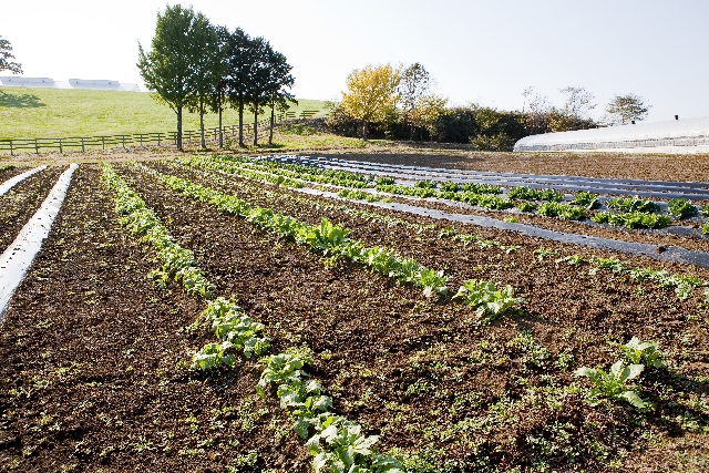 非農家でも農地を取得できる３つの方法 愛知農地転用 Com